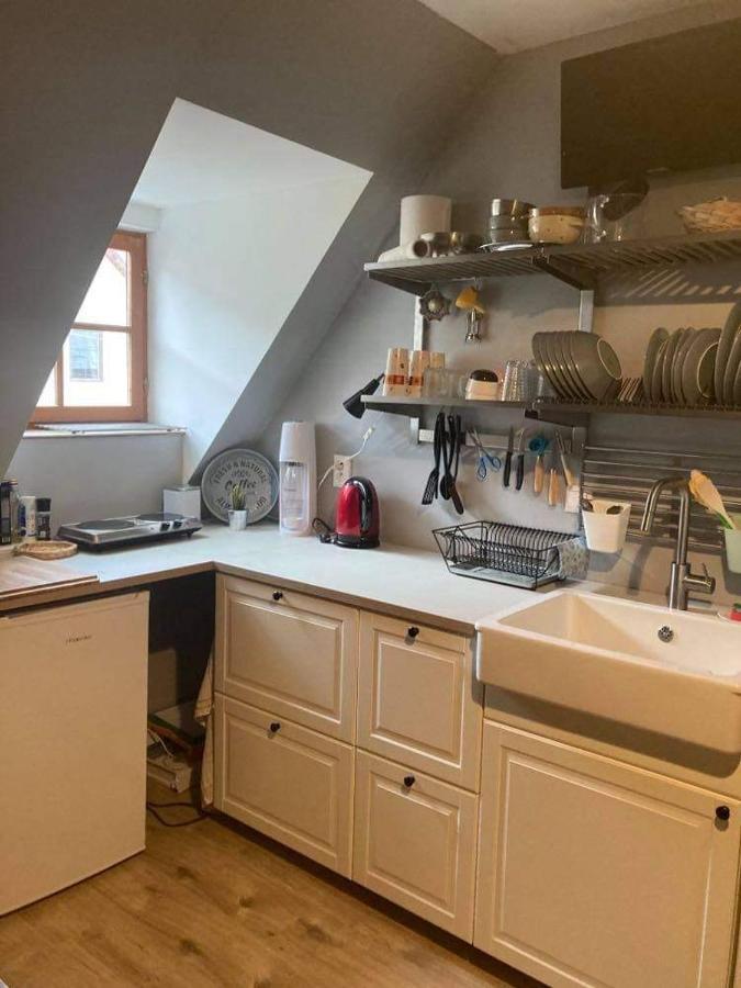 Apartman Pod Starym Zamkom Banská Štiavnica 외부 사진